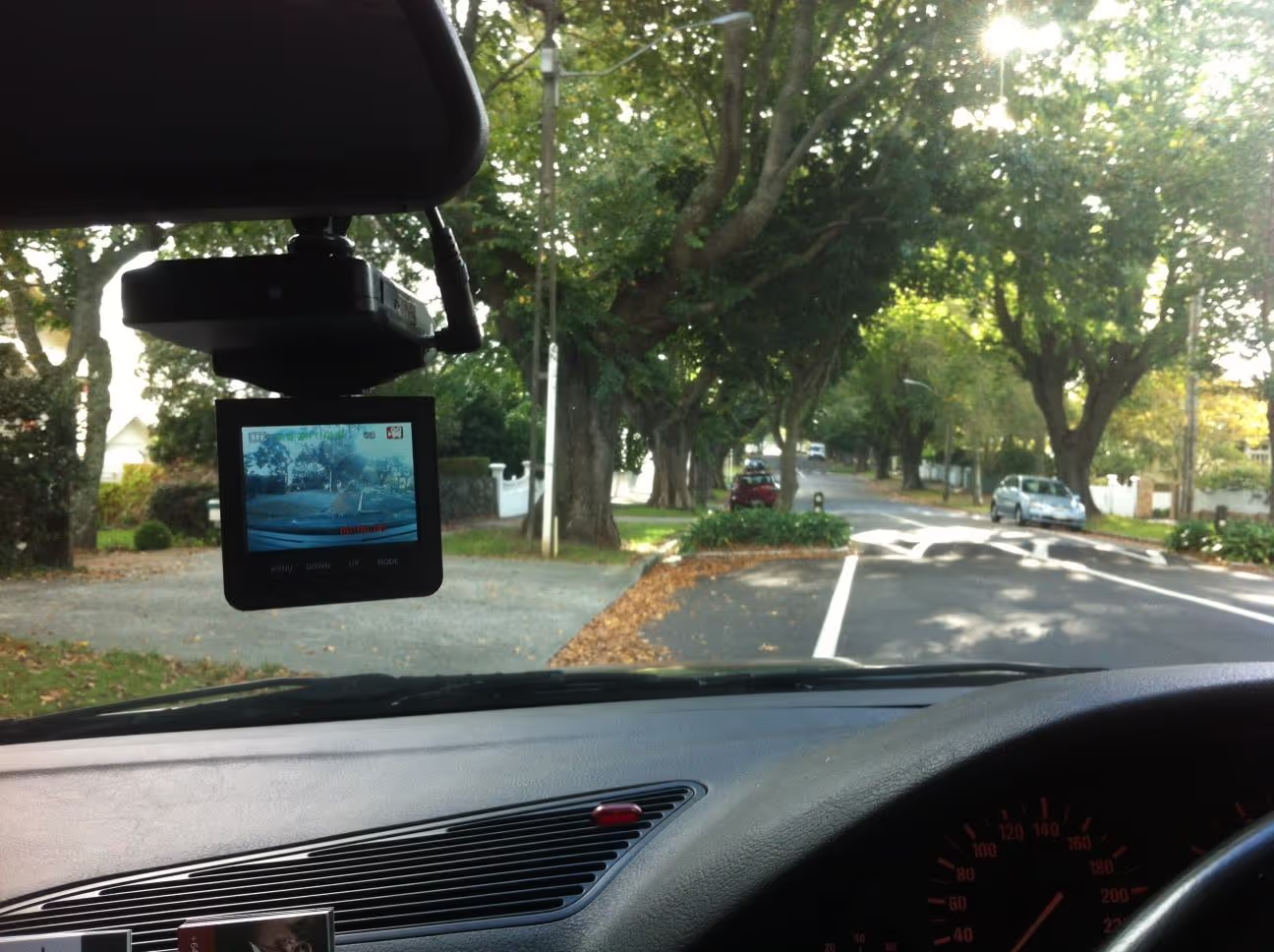 ISACORP licensed private investigators conducting fieldwork in New Zealand
